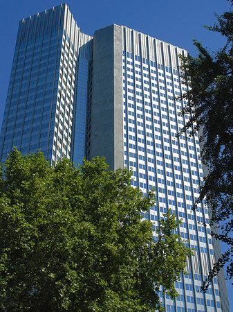 Fotos Eurotower