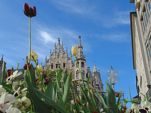 Fotos Neues Rathaus