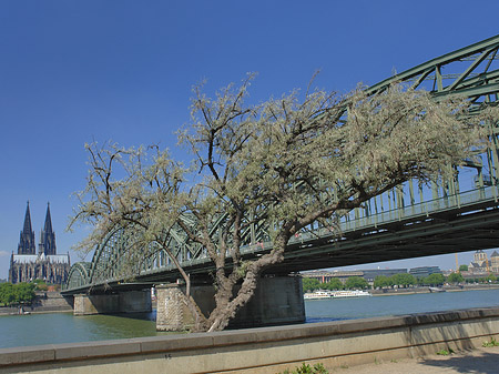 Hohenzollernbrücke am Kölner Dom